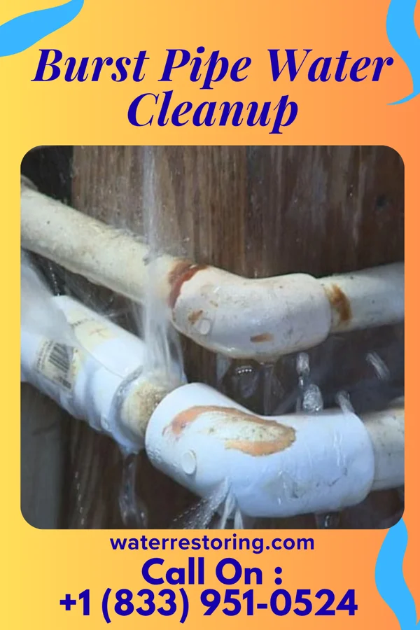 Burst Pipe Water Cleanup in Waucoma, IA
