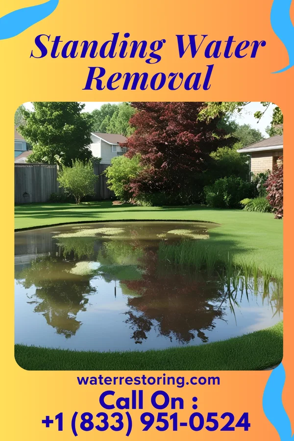 Standing Water Removal in Waucoma, IA